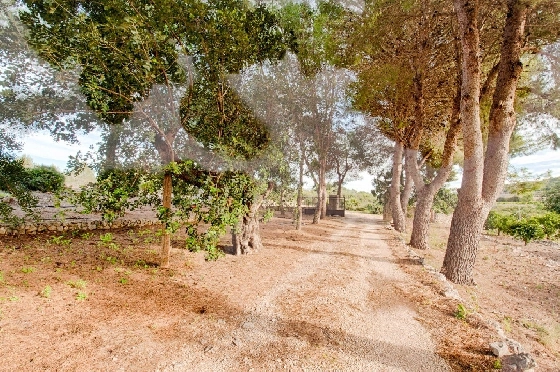 Finca in Gata de Gorgos zu verkaufen, Wohnfläche 450 m², Baujahr 1900, + Ofen, Klimaanlage, Grundstück 20000 m², 4 Schlafzimmer, 2 Badezimmer, Pool, ref.: AM-11846DA-14