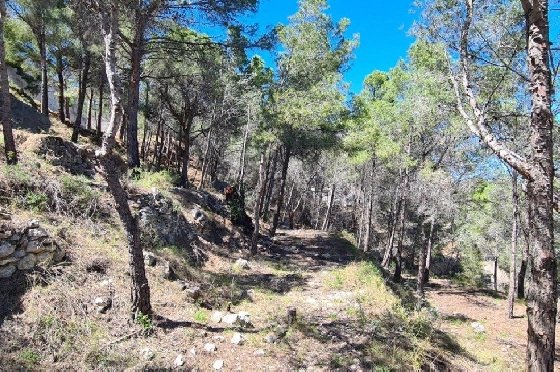 Wohngrundstück in Calpe zu verkaufen, Klimaanlage, Grundstück 2500 m², Pool, ref.: AM-11750NS-4