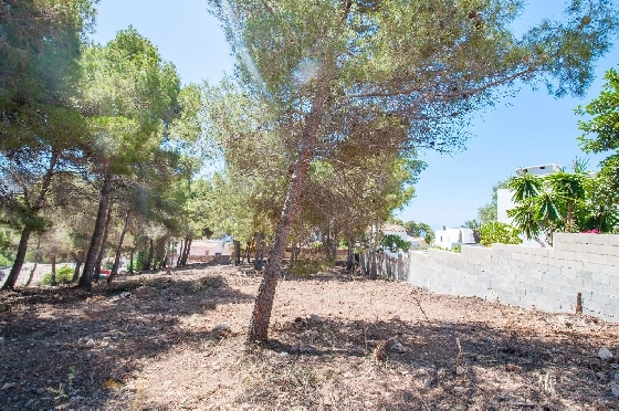 Wohngrundstück in Moraira zu verkaufen, Klimaanlage, Grundstück 2177 m², Pool, ref.: AM-12200DA-10