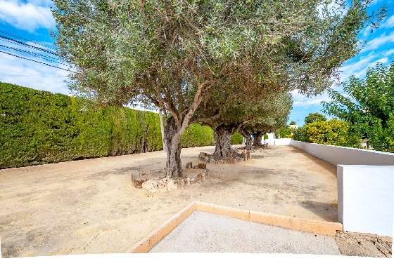 Finca in Benissa zu verkaufen, Wohnfläche 704 m², Baujahr 2004, Klimaanlage, Grundstück 3420 m², 9 Schlafzimmer, 8 Badezimmer, Pool, ref.: AM-12577DR-4
